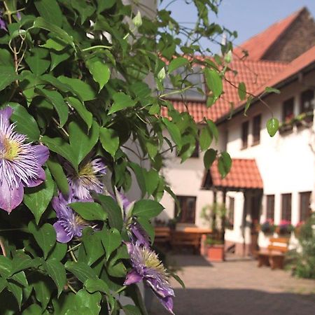 Pension Gaestehaus Kachelofa ファイインゲン・アン・デア・エンツ エクステリア 写真